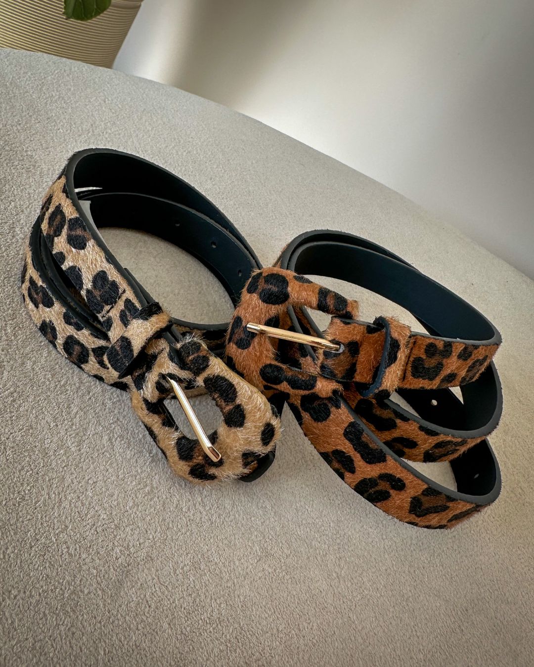 Cinto Animal Print